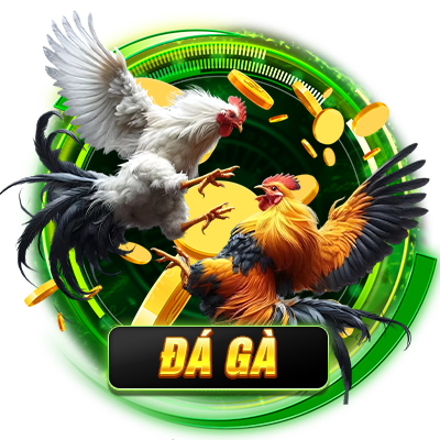 ĐÁ GÀ E2BET