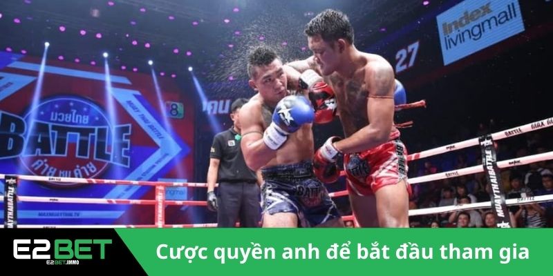 Hiểu về Cược quyền anh để bắt đầu tham gia 