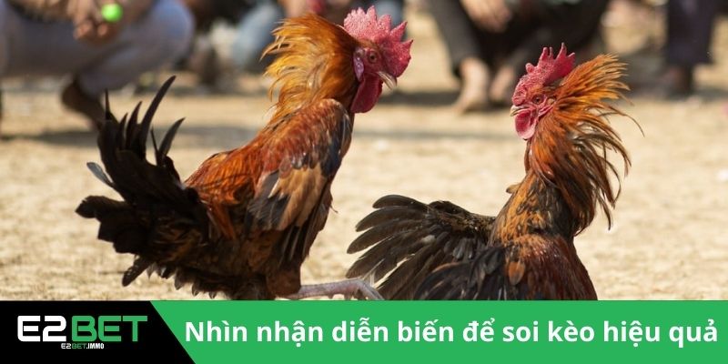 Nhìn nhận diễn biến để soi kèo hiệu quả 