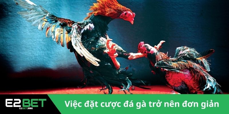 Đá Gà E2BET - Sân Chơi Kịch Tính Và Minh Bạch Cho Bạn 3 Việc đặt cược đá gà trở nên đơn giản